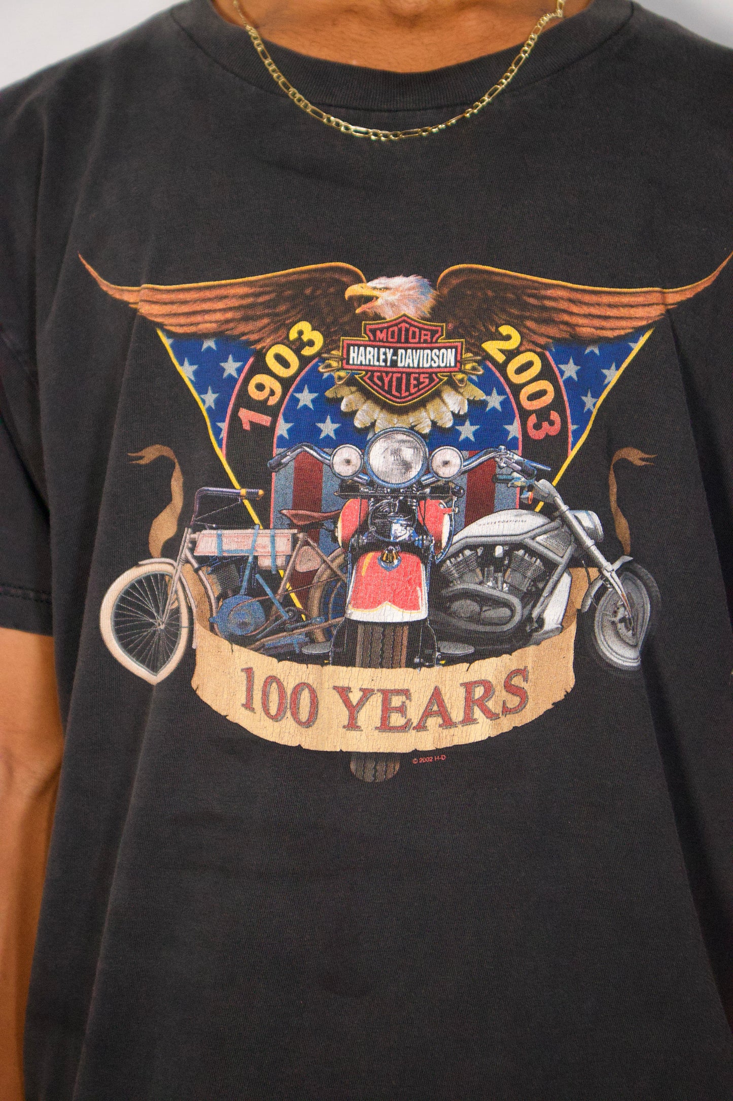 détail imprimé moto Harley Davidson